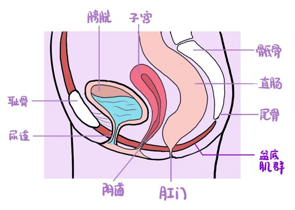 微信圖片_20220615083154.jpg