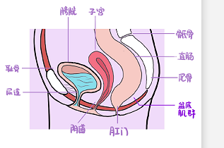 微信圖片_20220615093417.png